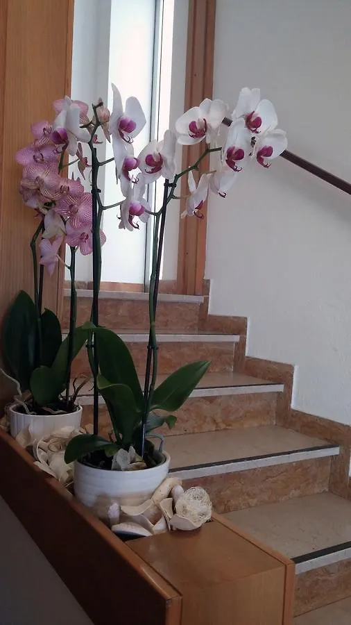 Hotel Rosalba Riccione Italy